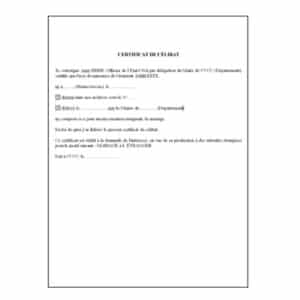 Guide Complet Du Certificat De Coutume Et De C libat guide-complet-du-certificat-de-coutume-et-de-c-libat